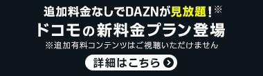 ドコモMAX(12/1~)